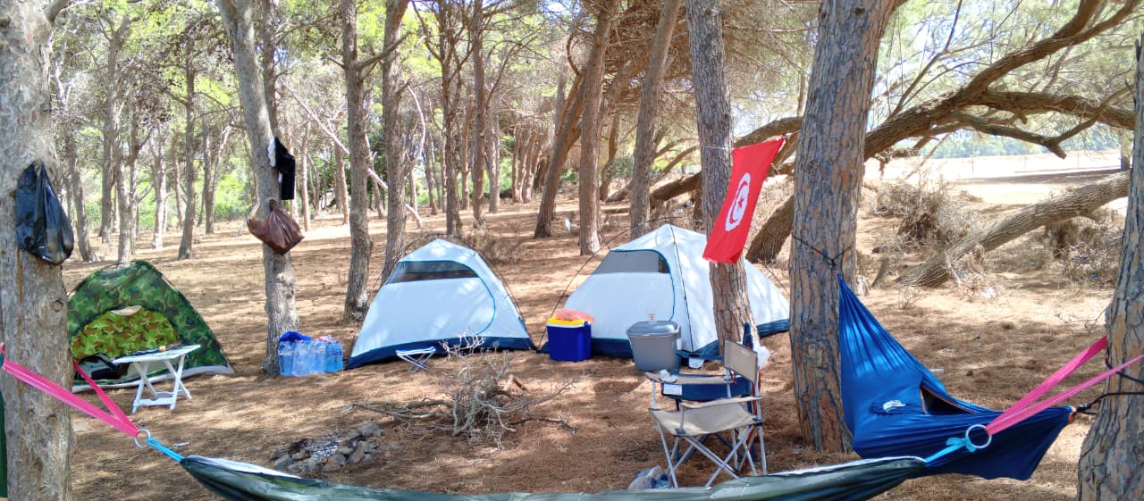 Campi Website